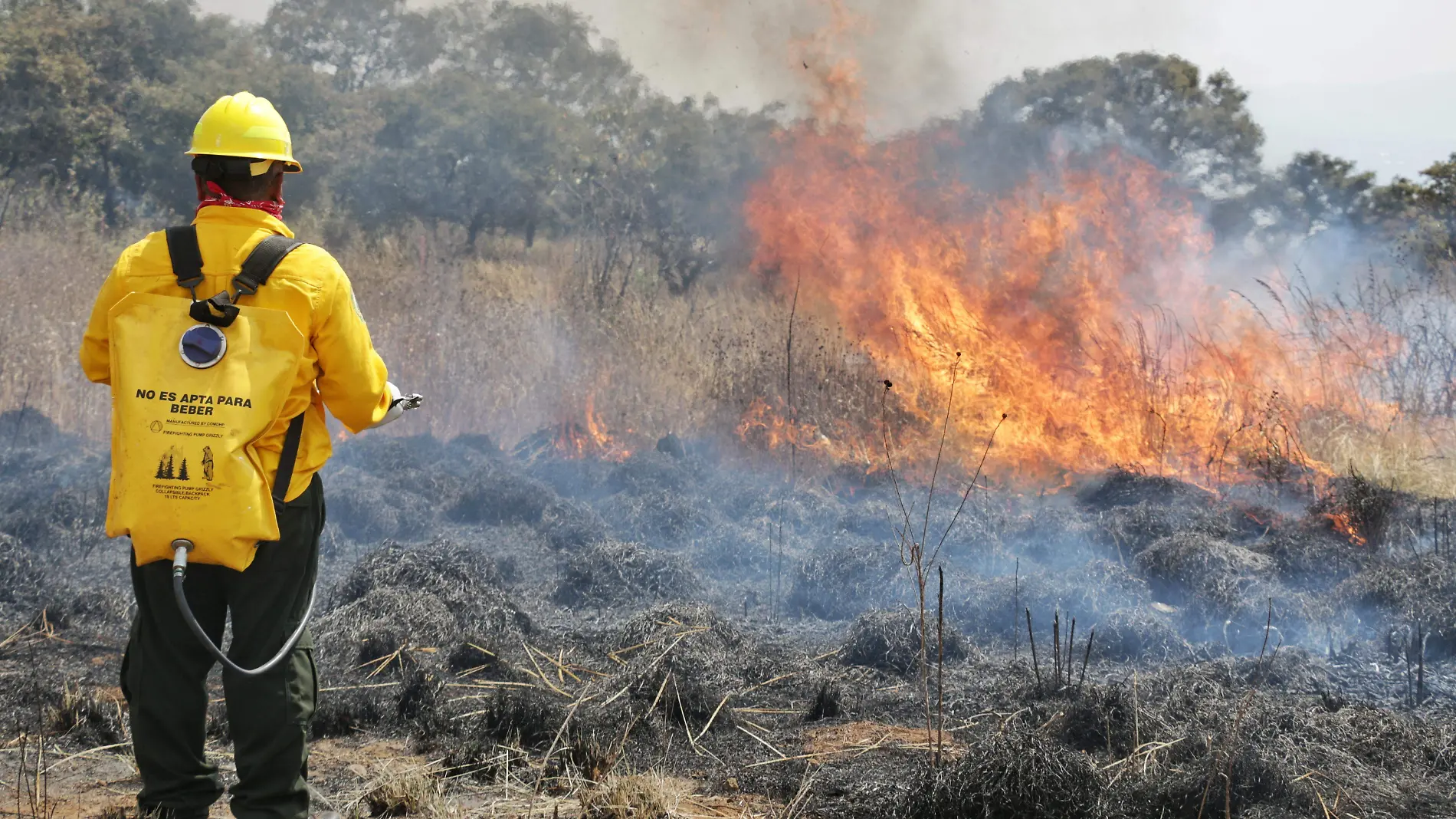 INCENDIO FORESTAL _ FMM (4)